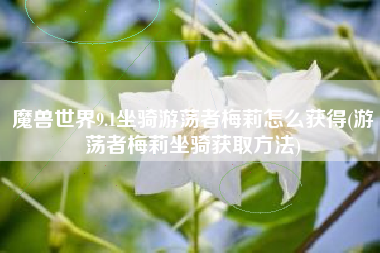 魔兽世界9.1坐骑游荡者梅莉怎么获得(游荡者梅莉坐骑获取方法)