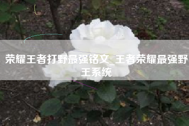 荣耀王者打野最强铭文_王者荣耀最强野王系统