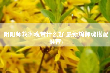 阴阳师鸩御魂带什么好(最新鸩御魂搭配推荐)