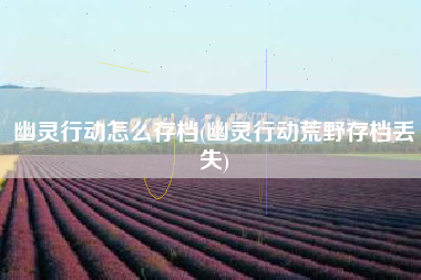 幽灵行动怎么存档(幽灵行动荒野存档丢失)