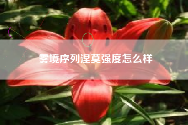雾境序列涅莫强度怎么样
