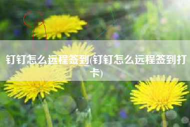钉钉怎么远程签到(钉钉怎么远程签到打卡)