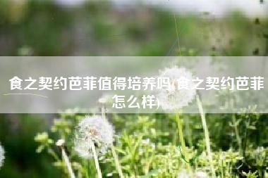 食之契约芭菲值得培养吗(食之契约芭菲怎么样)