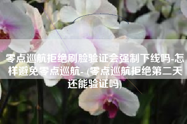 零点巡航拒绝刷脸验证会强制下线吗-怎样避免零点巡航- (零点巡航拒绝第二天还能验证吗)