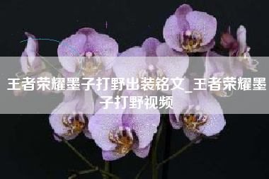 王者荣耀墨子打野出装铭文_王者荣耀墨子打野视频