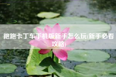 跑跑卡丁车手机版新手怎么玩(新手必看攻略)