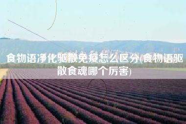 食物语净化驱散免疫怎么区分(食物语驱散食魂哪个厉害)