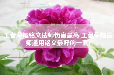 王者荣耀铭文法师伤害最高(王者荣耀法师通用铭文最好的一套) 王者荣耀铭文法师伤害最高(王者荣耀法师通用铭文最好的一套)
