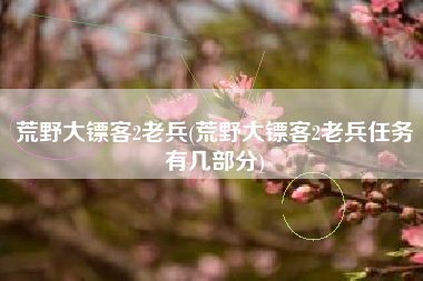 荒野大镖客2老兵(荒野大镖客2老兵任务有几部分)
