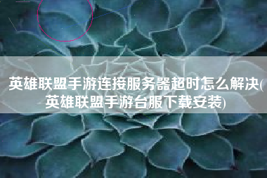 英雄联盟手游连接服务器超时怎么解决(英雄联盟手游台服下载安装)