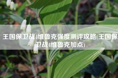 王国保卫战4维鲁克强度测评攻略(王国保卫战4维鲁克加点)