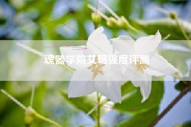 魂器学院艾玛强度评测