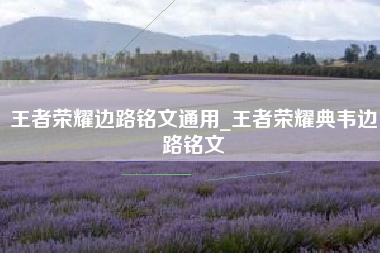 王者荣耀边路铭文通用_王者荣耀典韦边路铭文