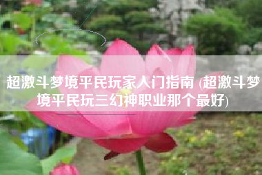 超激斗梦境平民玩家入门指南 (超激斗梦境平民玩三幻神职业那个最好)