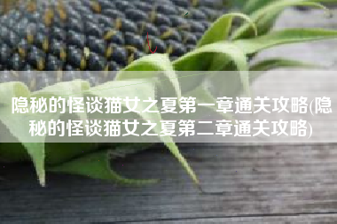 隐秘的怪谈猫女之夏第一章通关攻略(隐秘的怪谈猫女之夏第二章通关攻略)
