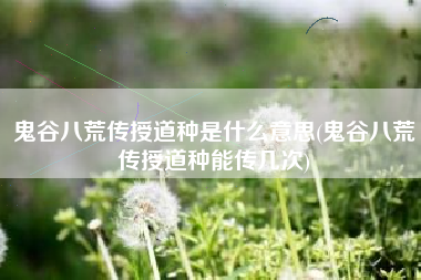 鬼谷八荒传授道种是什么意思(鬼谷八荒传授道种能传几次)