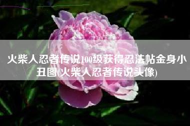 火柴人忍者传说100级获得忍法帖金身小丑图(火柴人忍者传说头像)
