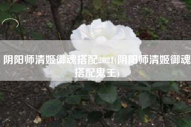 阴阳师清姬御魂搭配2021(阴阳师清姬御魂搭配鬼王)