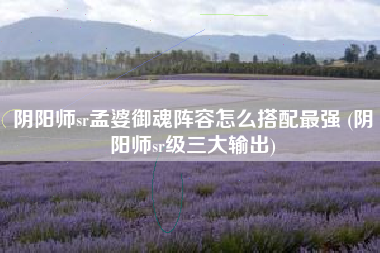 阴阳师sr孟婆御魂阵容怎么搭配最强 (阴阳师sr级三大输出)