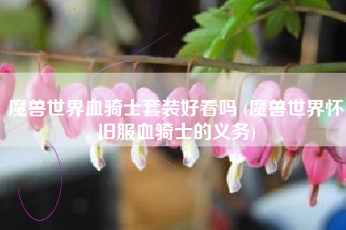 魔兽世界血骑士套装好看吗 (魔兽世界怀旧服血骑士的义务)
