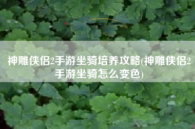 神雕侠侣2手游坐骑培养攻略(神雕侠侣2手游坐骑怎么变色)