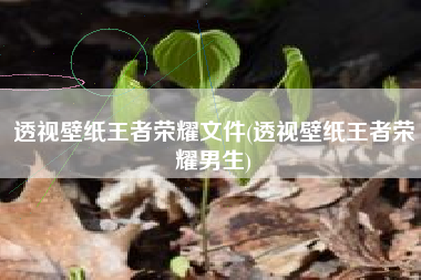透视壁纸王者荣耀文件(透视壁纸王者荣耀男生)