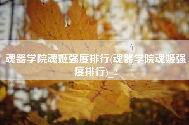 魂器学院魂姬强度排行(魂器学院魂姬强度排行)_2