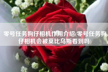 零号任务狗仔相机作用介绍(零号任务狗仔相机会被莫比乌斯看到吗)
