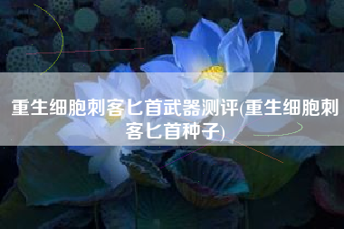 重生细胞刺客匕首武器测评(重生细胞刺客匕首种子)