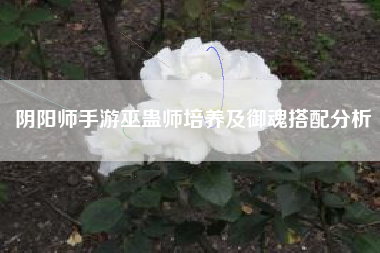 阴阳师手游巫蛊师培养及御魂搭配分析