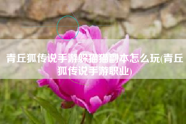青丘狐传说手游躲猫猫副本怎么玩(青丘狐传说手游职业)