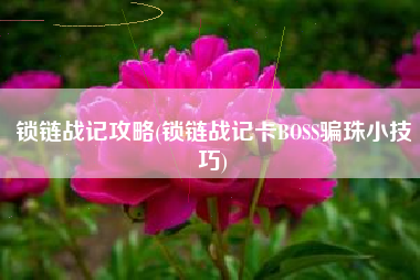 锁链战记攻略(锁链战记卡BOSS骗珠小技巧)