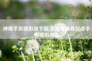神鹰手游模拟器下载,苹果电脑有安卓手游模拟器么
