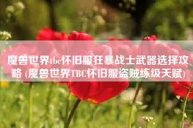 魔兽世界tbc怀旧服狂暴战士武器选择攻略 (魔兽世界TBC怀旧服盗贼练级天赋)
