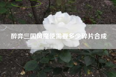 醉弈三国风魔使需要多少碎片合成