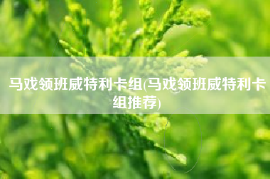 马戏领班威特利卡组(马戏领班威特利卡组推荐)