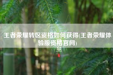 王者荣耀转区资格如何获得(王者荣耀体验服资格官网)