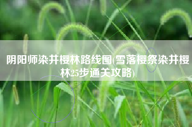 阴阳师染井樱林路线图(雪落樱祭染井樱林25步通关攻略)