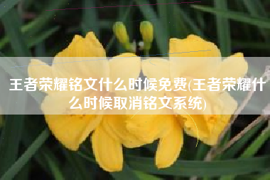 王者荣耀铭文什么时候免费(王者荣耀什么时候取消铭文系统)