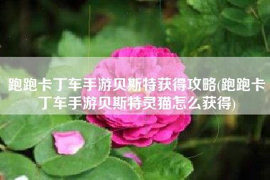跑跑卡丁车手游贝斯特获得攻略(跑跑卡丁车手游贝斯特灵猫怎么获得)