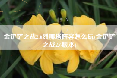 金铲铲之战2.6烈娜塔阵容怎么玩(金铲铲之战2.6版本)