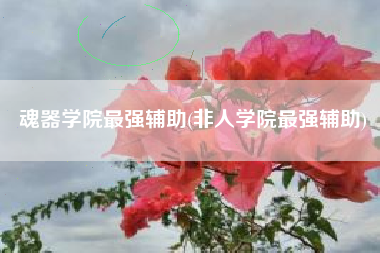 魂器学院最强辅助(非人学院最强辅助)