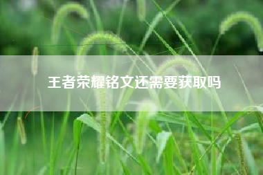 王者荣耀铭文还需要获取吗