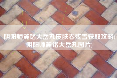 阴阳师麓铭大岳丸皮肤春残雪获取攻略(阴阳师麓铭大岳丸图片)