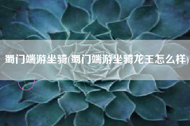 蜀门端游坐骑(蜀门端游坐骑龙王怎么样)