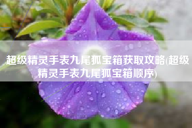 超级精灵手表九尾狐宝箱获取攻略(超级精灵手表九尾狐宝箱顺序)