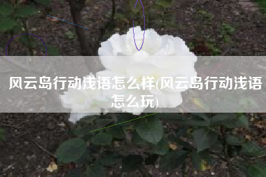 风云岛行动浅语怎么样(风云岛行动浅语怎么玩)
