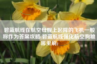 碧蓝航线在航空母舰上起降的飞机一般称作为答案攻略(碧蓝航线强化航空狗粮哪里刷)