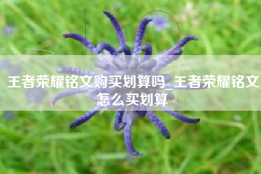 王者荣耀铭文购买划算吗_王者荣耀铭文怎么买划算