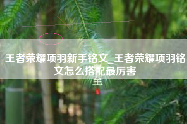 王者荣耀项羽新手铭文_王者荣耀项羽铭文怎么搭配最厉害
